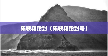 集装箱铅封（集装箱铅封号）