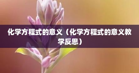 化学方程式的意义（化学方程式的意义教学反思）