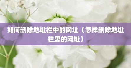 如何删除地址栏中的网址（怎样删除地址栏里的网址）