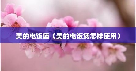 美的电饭堡（美的电饭煲怎样使用）