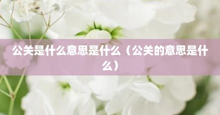 公关是什么意思是什么（公关的意思是什么）
