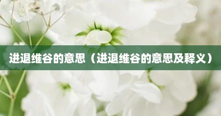 进退维谷的意思（进退维谷的意思及释义）