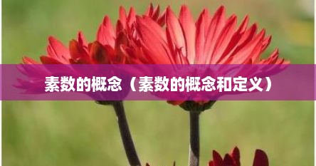 素数的概念（素数的概念和定义）