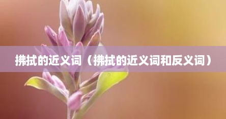 拂拭的近义词（拂拭的近义词和反义词）