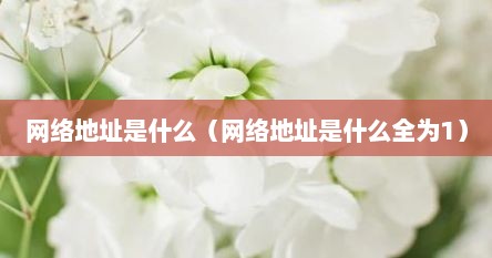 网络地址是什么（网络地址是什么全为1）