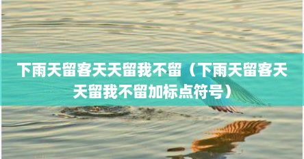 下雨天留客天天留我不留（下雨天留客天天留我不留加标点符号）