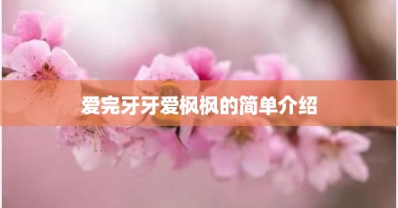 爱完牙牙爱枫枫的简单介绍