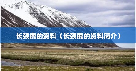 长颈鹿的资料（长颈鹿的资料简介）