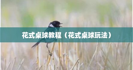 花式桌球教程（花式桌球玩法）