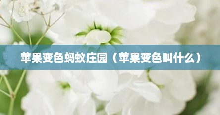 苹果变色蚂蚁庄园（苹果变色叫什么）
