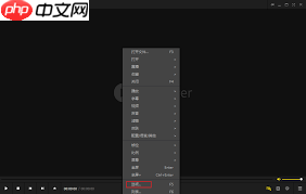 PotPlayer如何设置自动记忆播放位置