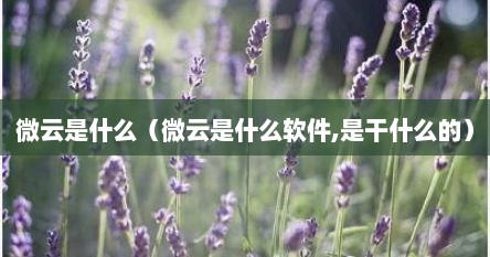 微云是什么（微云是什么软件,是干什么的）