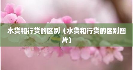 水货和行货的区别（水货和行货的区别图片）