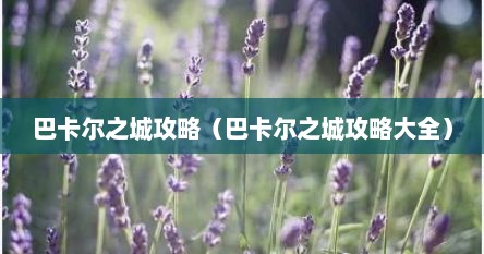 巴卡尔之城攻略（巴卡尔之城攻略大全）