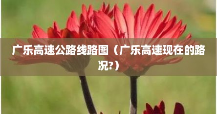广乐高速公路线路图（广乐高速现在的路况?）