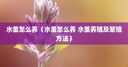 水蚤怎么养（水蚤怎么养 水蚤养殖及繁殖方法）