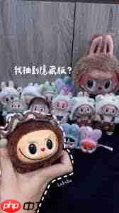 拉布布隐藏款和普通款有什么区别