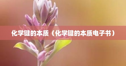 化学键的本质（化学键的本质电子书）