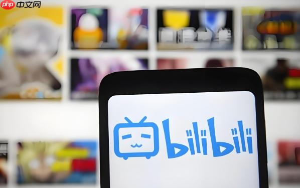 b站怎么把账号借给别人用_b站账号共享的风险与安全提示