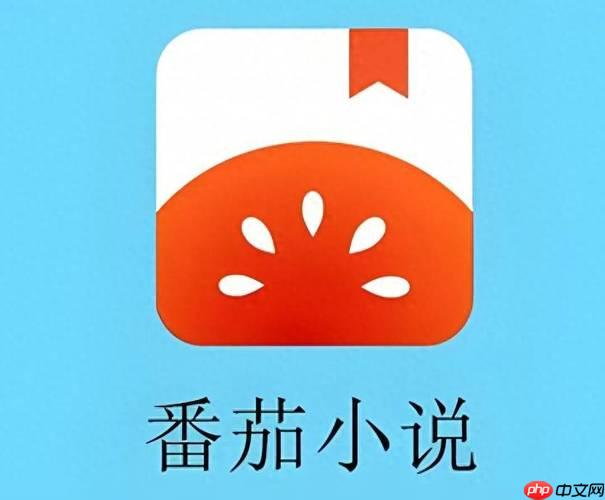 番茄小说缓存怎么清理_番茄小说缓存清理详细步骤