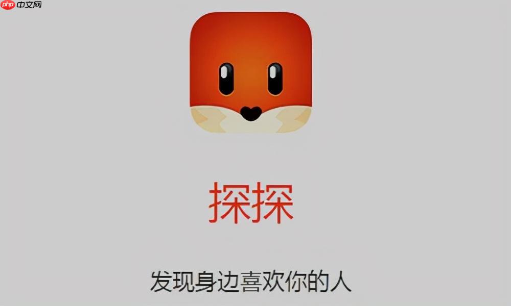 探探app怎么添加兴趣标签_探探app兴趣标签添加方式及选择建议