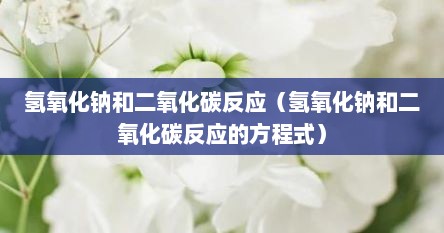 氢氧化钠和二氧化碳反应（氢氧化钠和二氧化碳反应的方程式）