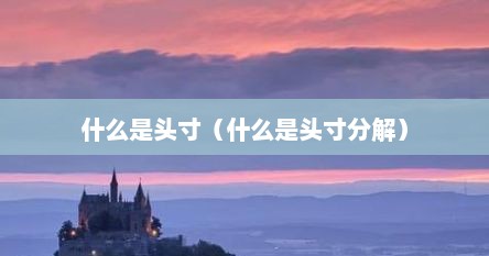 什么是头寸（什么是头寸分解）
