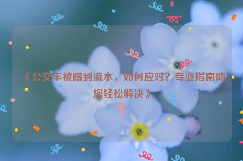 《公交车被蹭到流水，如何应对？专业指南助您轻松解决》