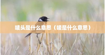 唛头是什么意思（唛是什么意思）