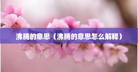 沸腾的意思（沸腾的意思怎么解释）