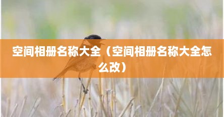 空间相册名称大全（空间相册名称大全怎么改）