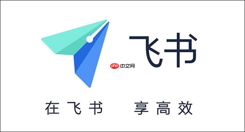 飞书消息撤回不了怎么办 飞书聊天记录恢复与操作方法