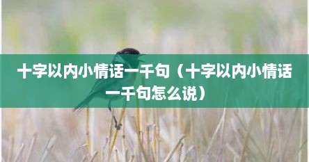 十字以内小情话一千句（十字以内小情话一千句怎么说）