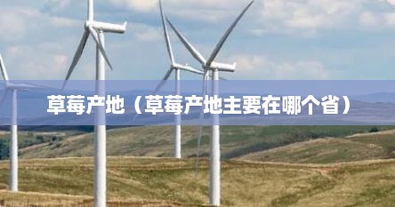 草莓产地（草莓产地主要在哪个省）