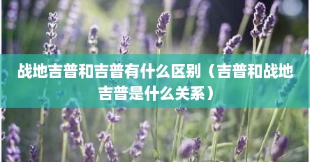 战地吉普和吉普有什么区别（吉普和战地吉普是什么关系）