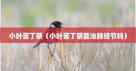 小叶苦丁茶（小叶苦丁茶能治肺结节吗）