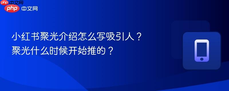 小红书聚光介绍怎么写吸引人？聚光什么时候开始推的？