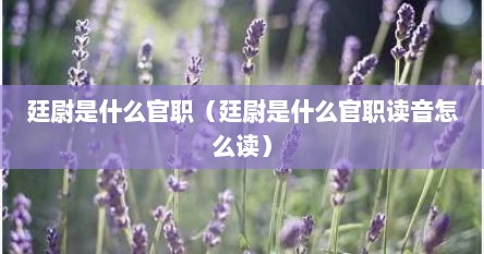 廷尉是什么官职（廷尉是什么官职读音怎么读）