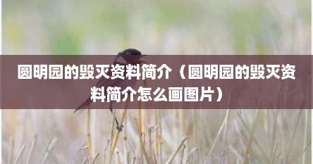 圆明园的毁灭资料简介（圆明园的毁灭资料简介怎么画图片）