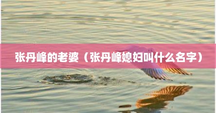 张丹峰的老婆（张丹峰媳妇叫什么名字）