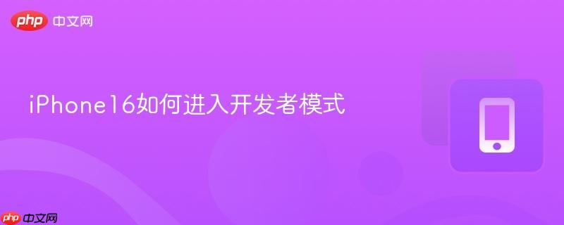 iphone16如何进入开发者模式