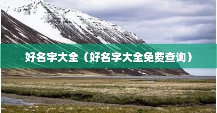好名字大全（好名字大全免费查询）