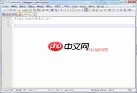 Notepad如何调节视图大小