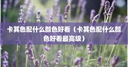 卡其色配什么颜色好看（卡其色配什么颜色好看最高级）