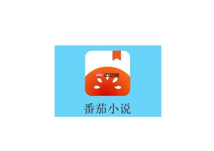 番茄小说离线模式怎么开启_番茄小说离线模式开启操作教程