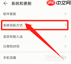 华为nova10pro如何隐藏返回键