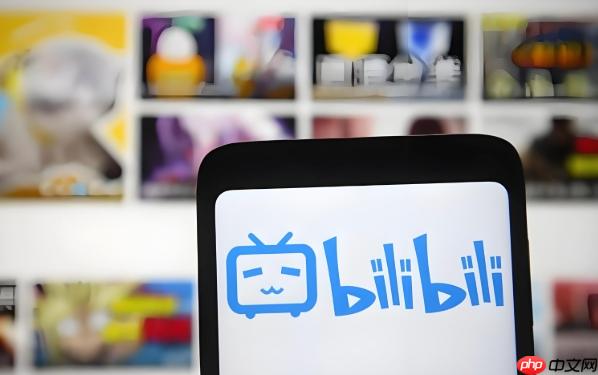 bilibili官方网址入口 bilibili网页登录页面