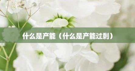 什么是产能（什么是产能过剩）