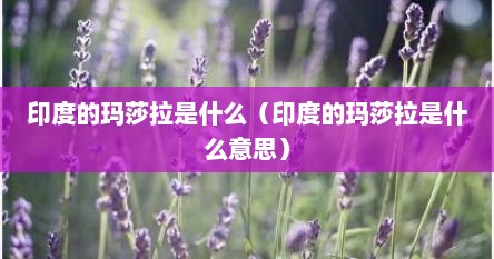 印度的玛莎拉是什么（印度的玛莎拉是什么意思）