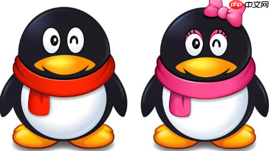 qq视频通话卡顿怎么办 qq视频通话网络优化与流畅设置方法